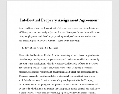 Intellectual Property Assignment Agreement